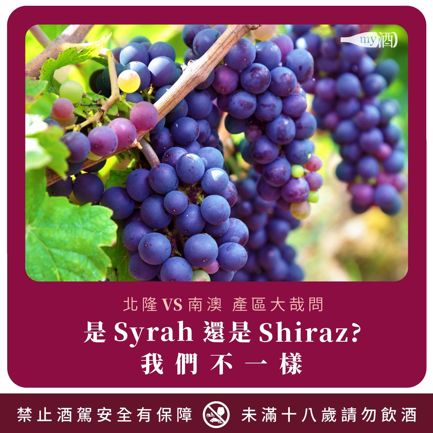 是Syrah還是Shiraz，我們不一樣🧐