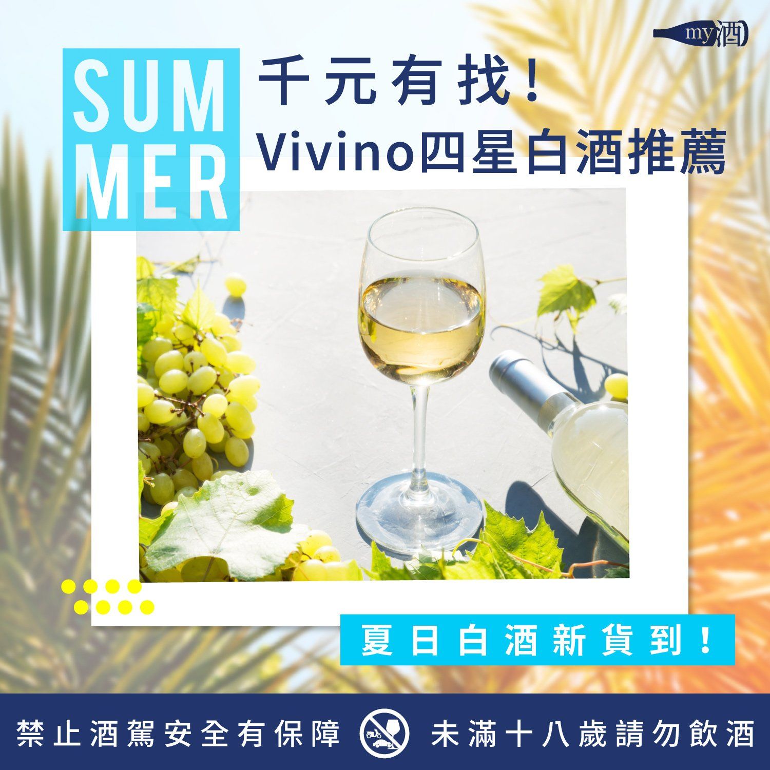 千元有找! Vivino 四星白酒推薦