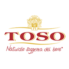 TOSO 多索